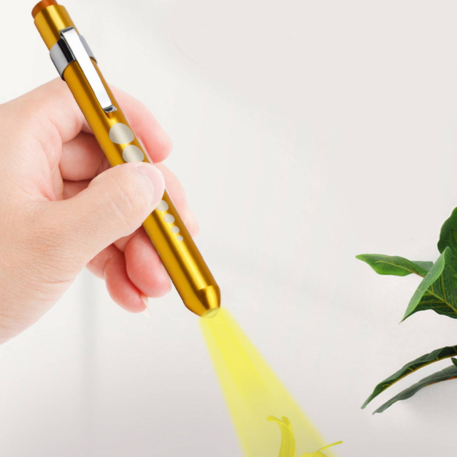 Led Medical Penlight with Pupil Gauge - Image 5