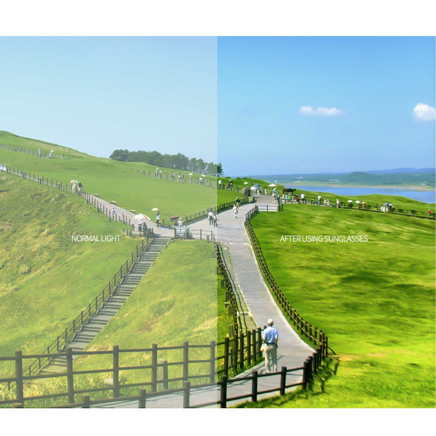 Chic UV Shades Oversized Trendy Sunglasses - Image 7