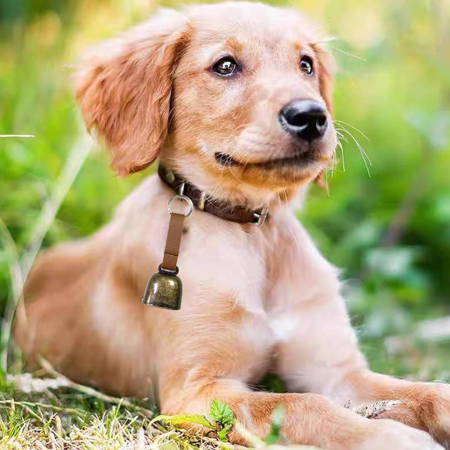 Cow Bell W/ Webbing - Image 4