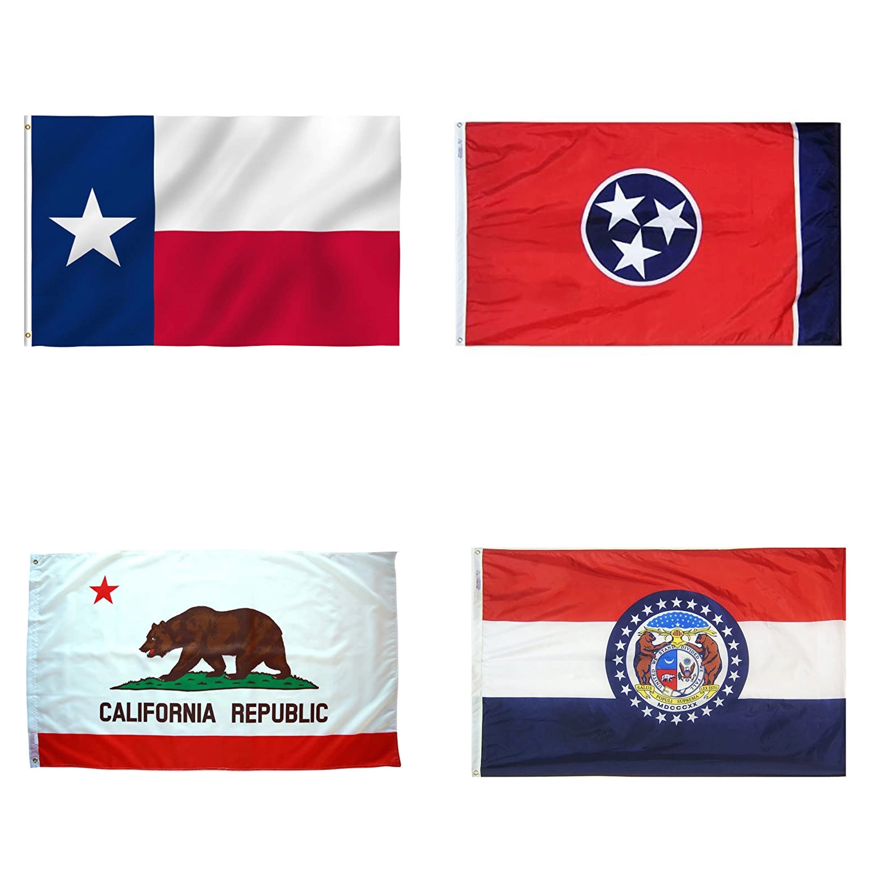 US State Flag