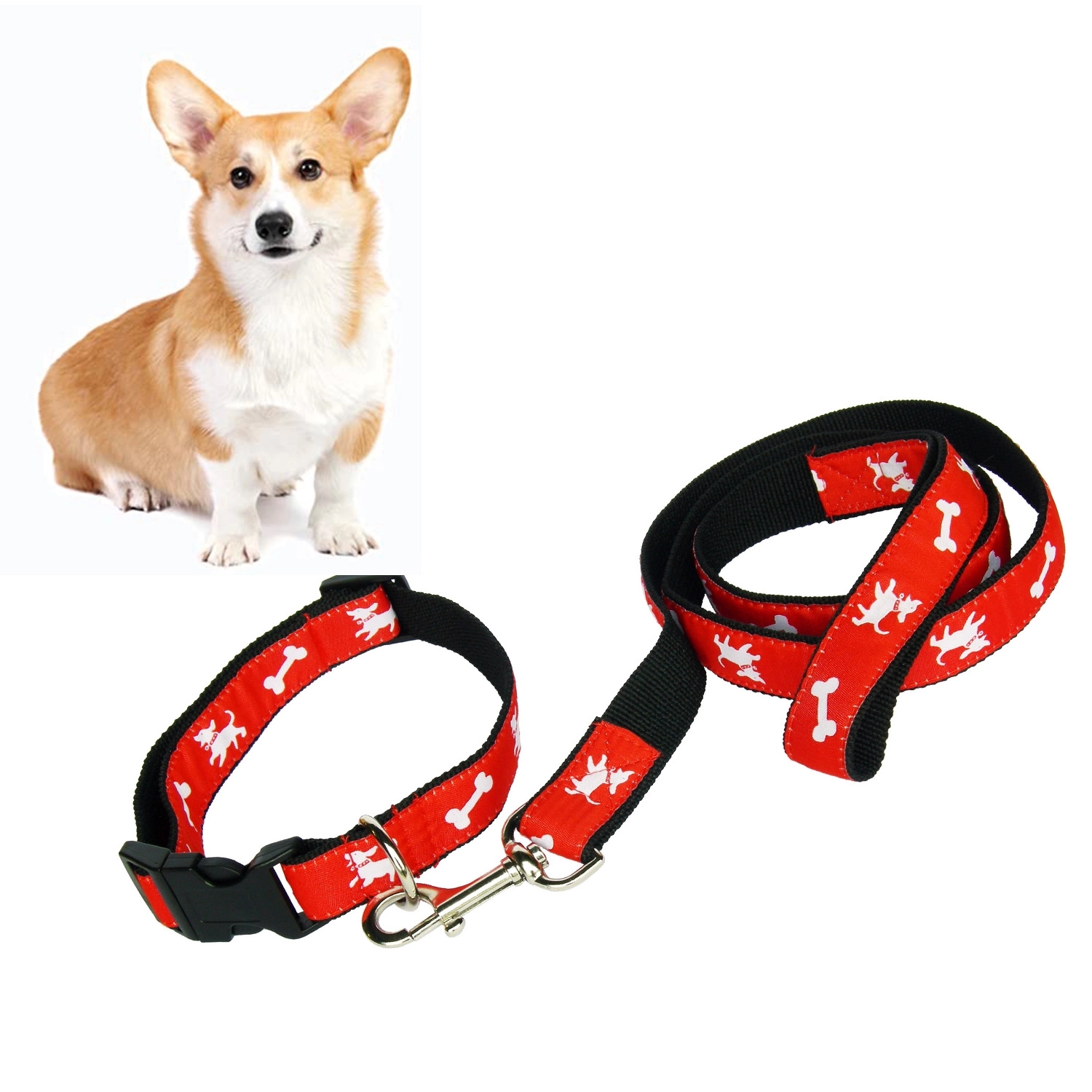 Dog Collar & Leash Set W/ Carabiner Hook