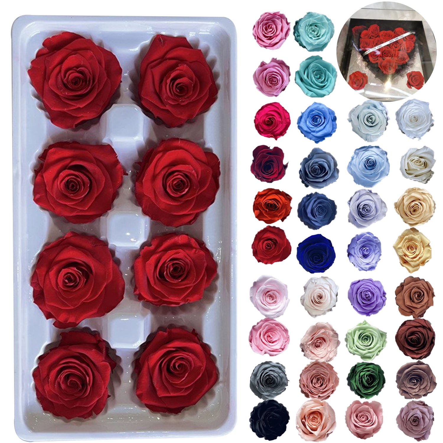 Immortal Flower Rose