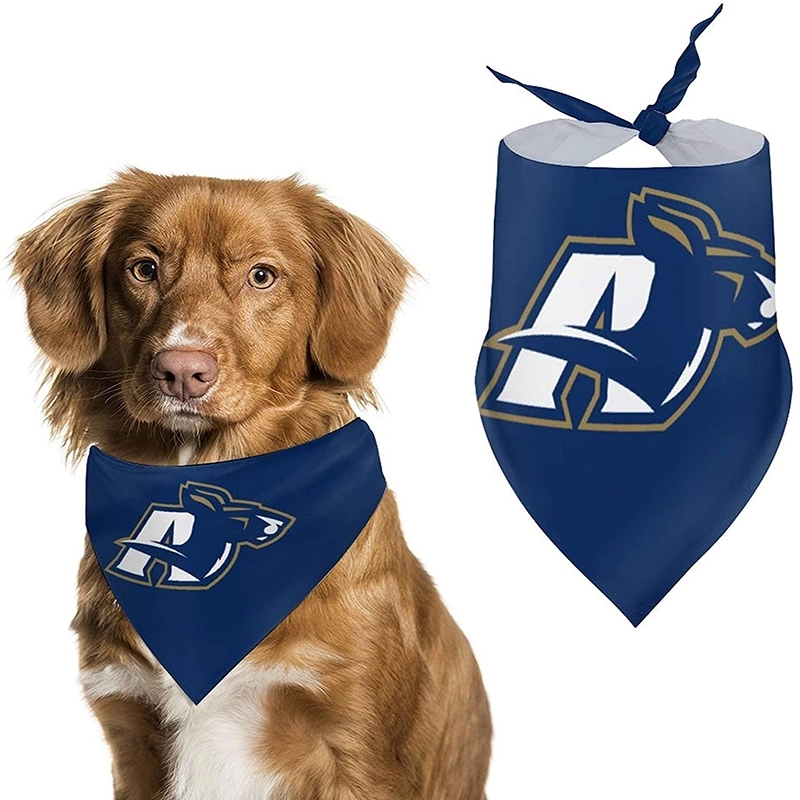 Personalized Dog Name Bandana