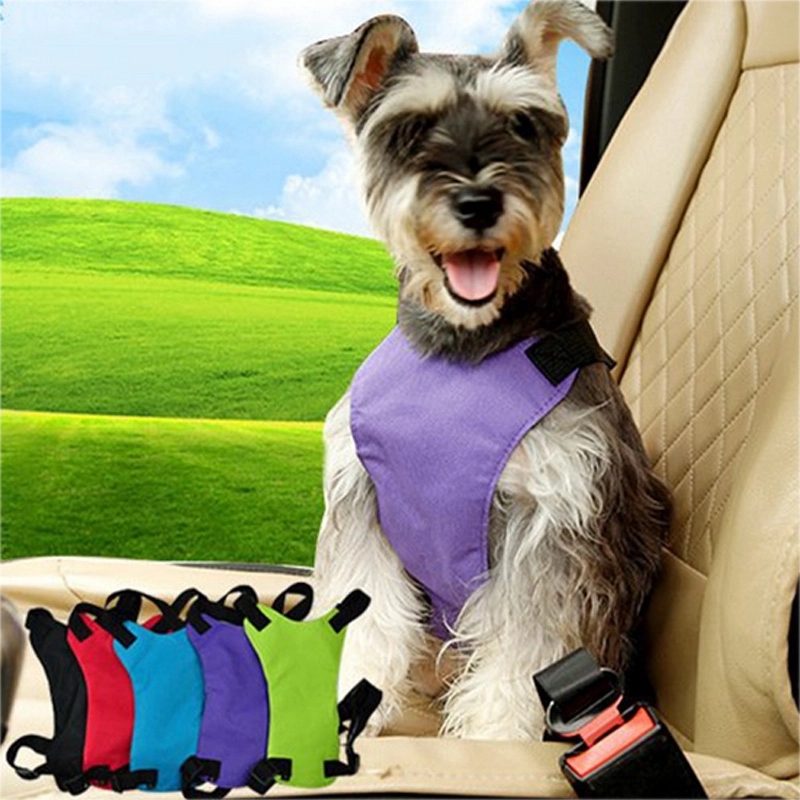 Dog Harness Safety Vest