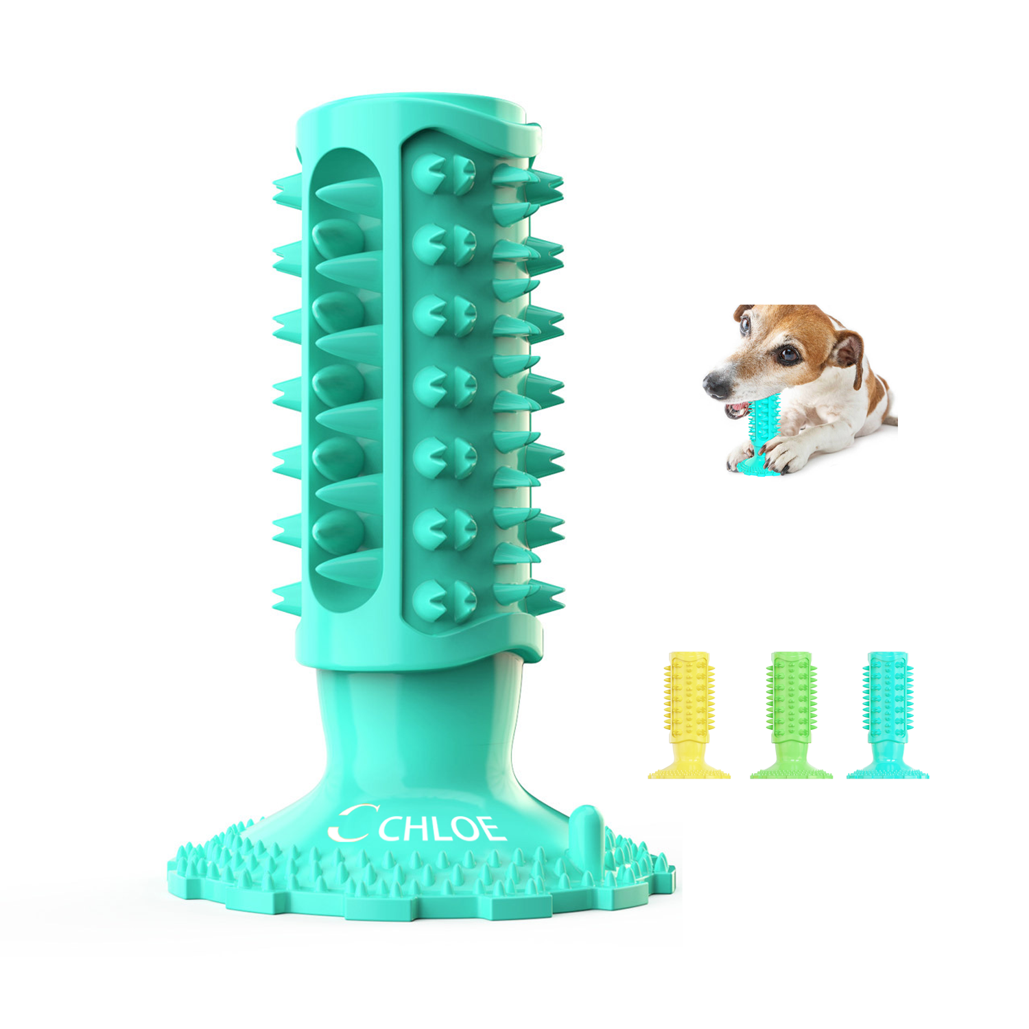 Dog Bites Chew Toy & Toothbrush
