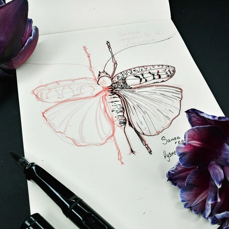 Light Metal Pen - Image 5