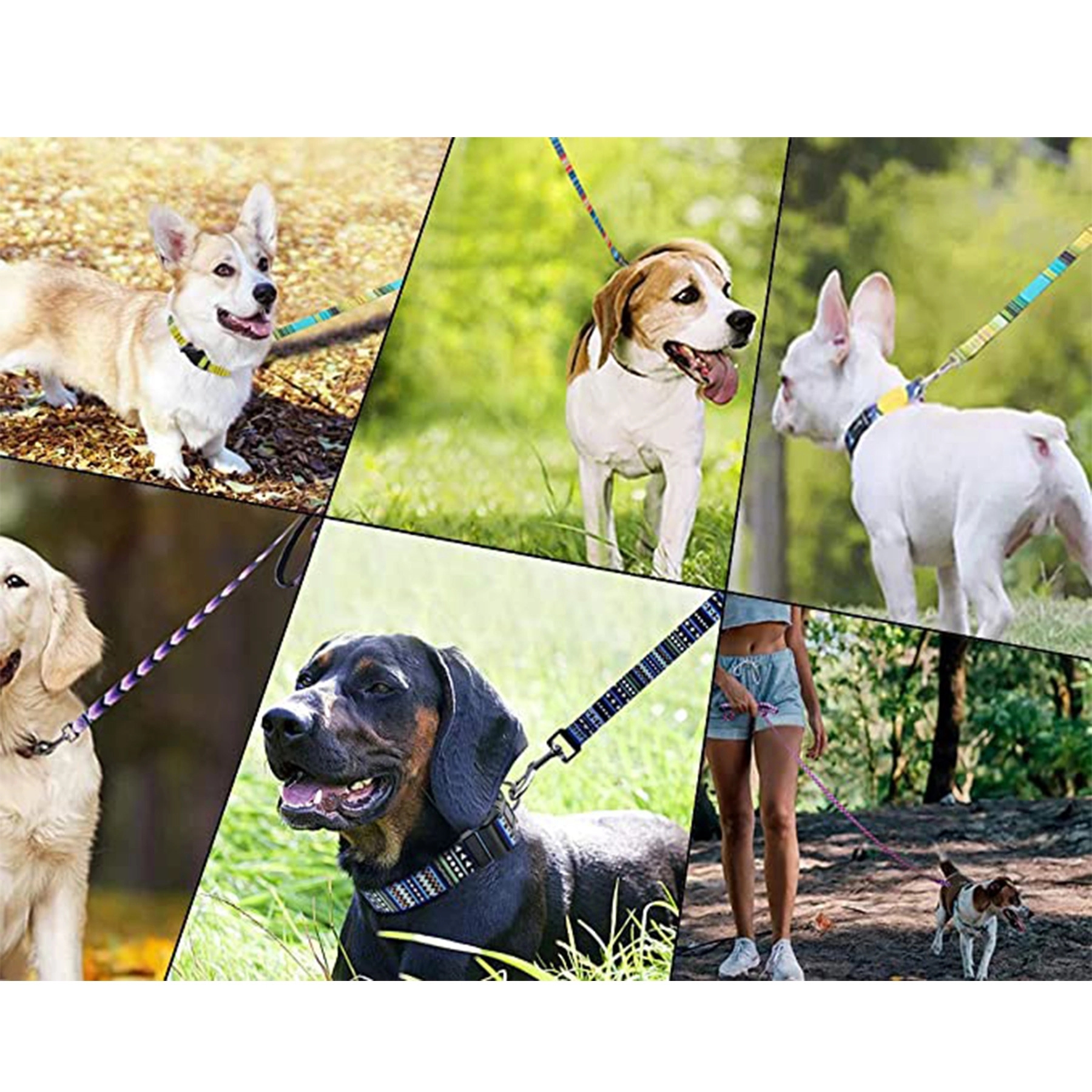 Cute Printed Dog Leash Rope - Image 3