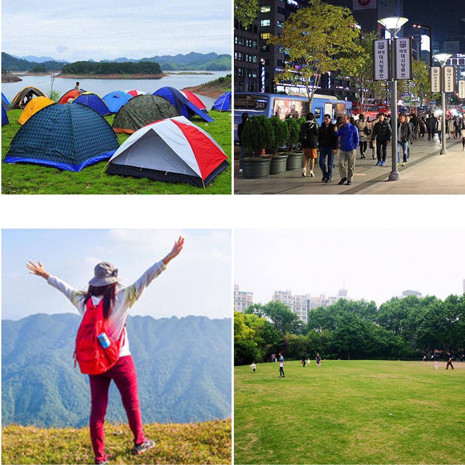 Mesh Breathable Pet Backpack - Image 4