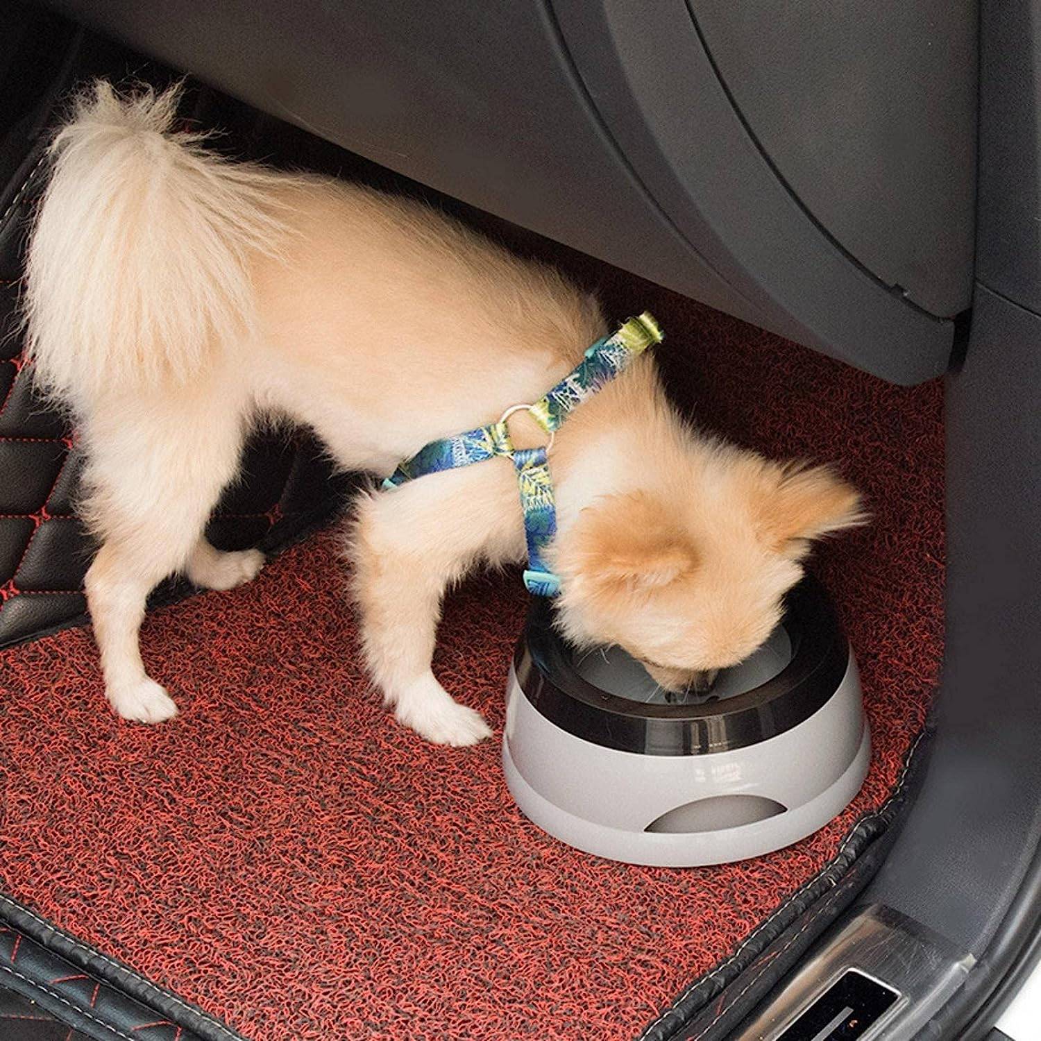Pet Car Bowl - Image 3