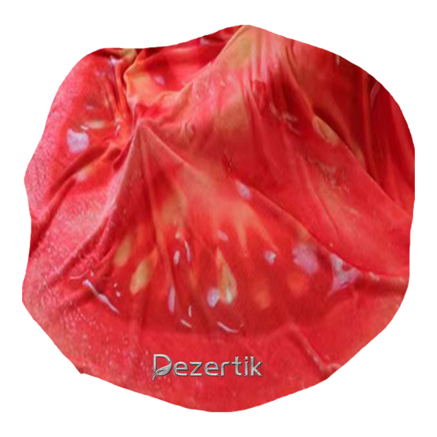 Flannel Fruit Veggie Burrito Blanket - Image 4