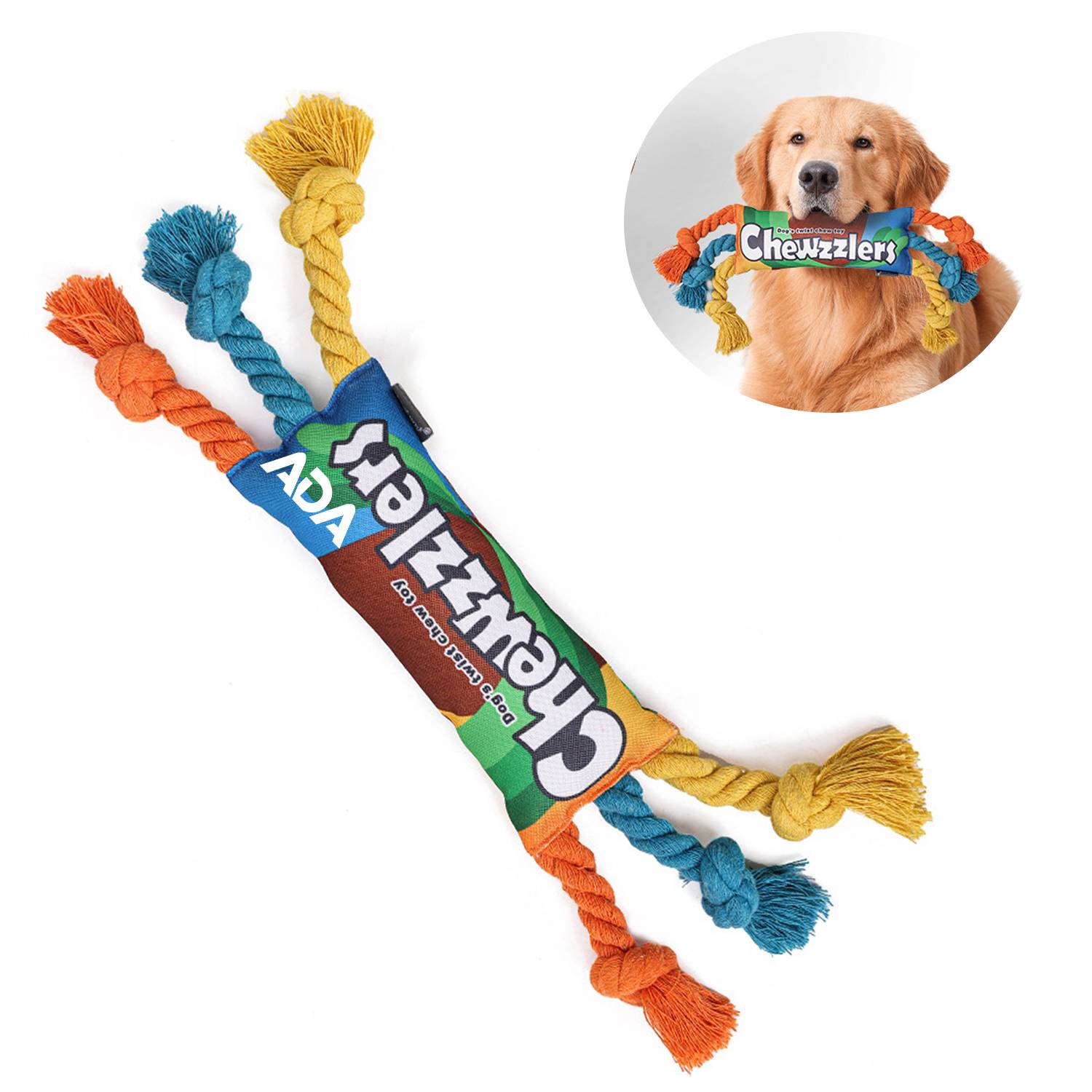 Squeaky Rainbow Twist Pet Chew Toy