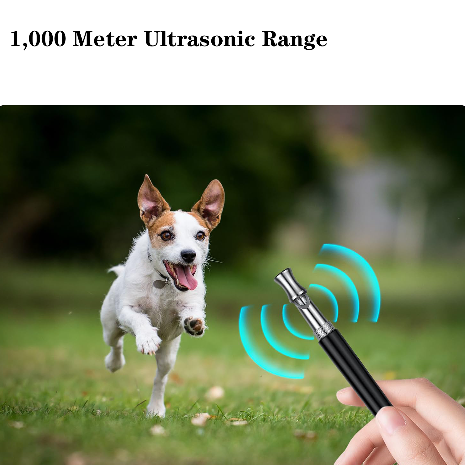 2-Pack Black Dog Whistle and Lanyard Set - Image 5