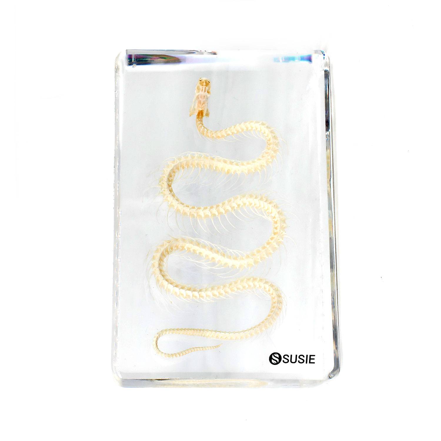 Custom acrylic ornaments