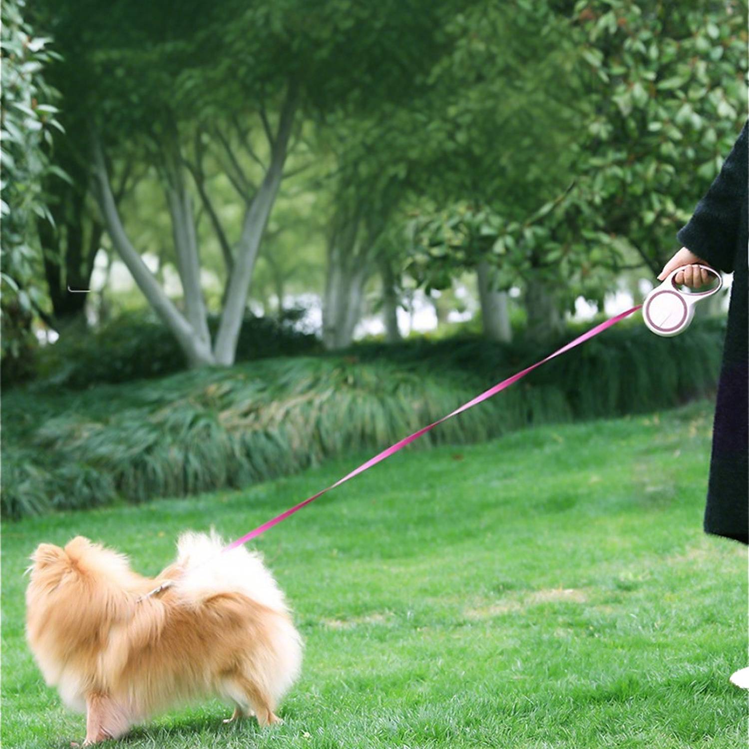 Two Tone Automatic Retractable Pet Leash - Image 4