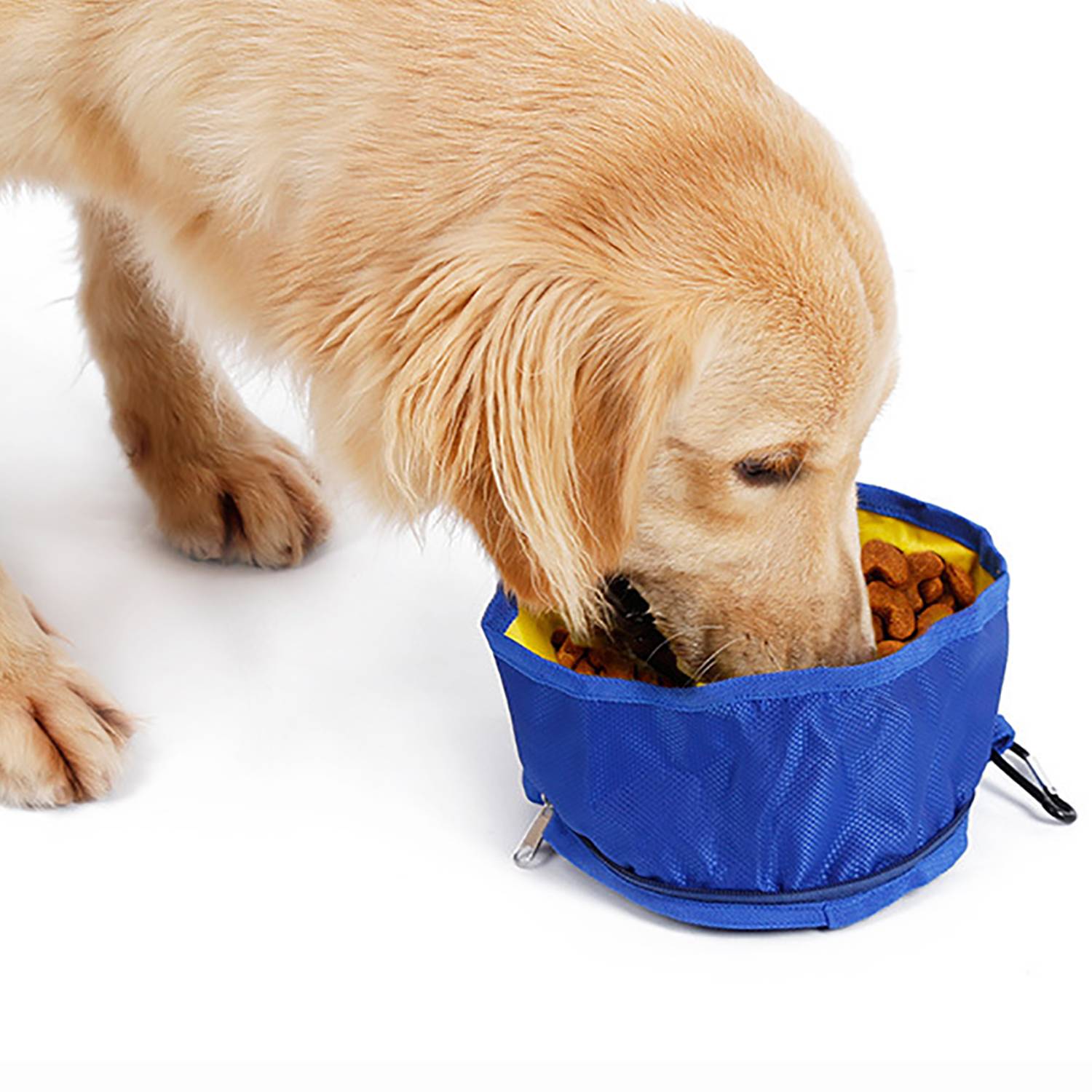 Outdoor Oxford Waterproof Foldable Pet Bowl - Image 3